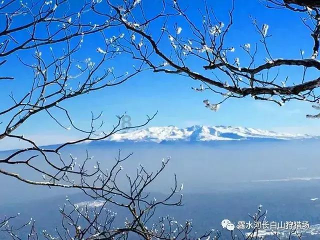 救援活泼小男孩