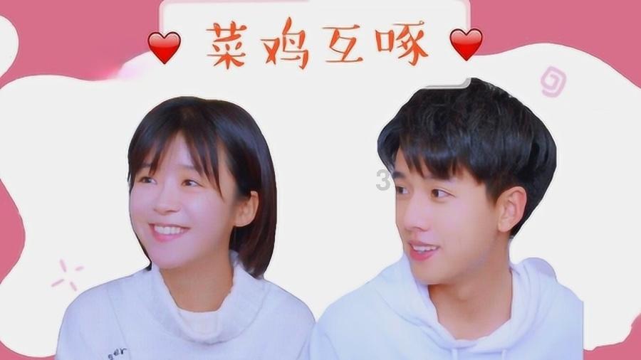 时尚小鸡救援